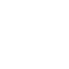 Software Development